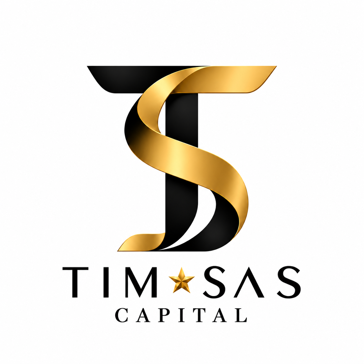 TIM SAS CAPITAL logo
